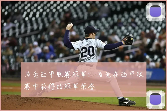 马竞西甲联赛冠军:马竞在西甲联赛中获得的冠军荣誉