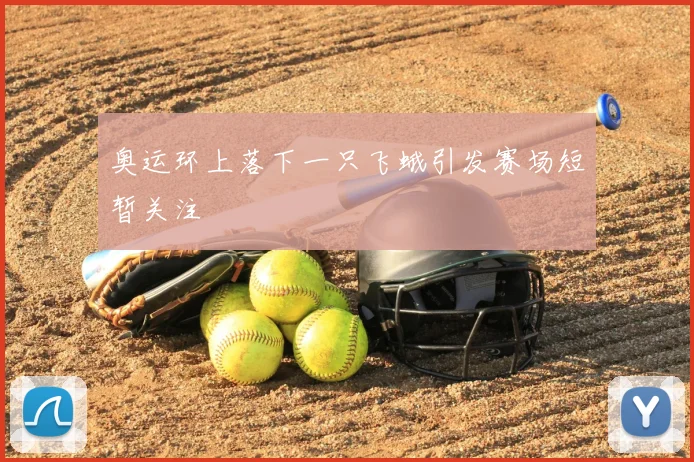 奥运环上落下一只飞蛾引发赛场短暂关注