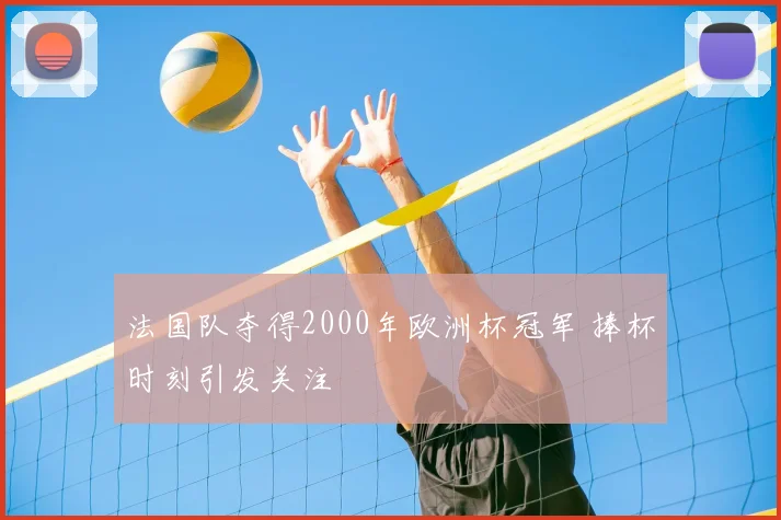 法国队夺得2000年欧洲杯冠军 捧杯时刻引发关注
