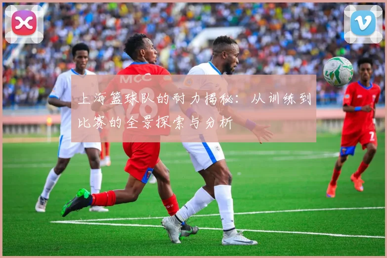 上海篮球队的耐力揭秘:从训练到比赛的全景探索与分析