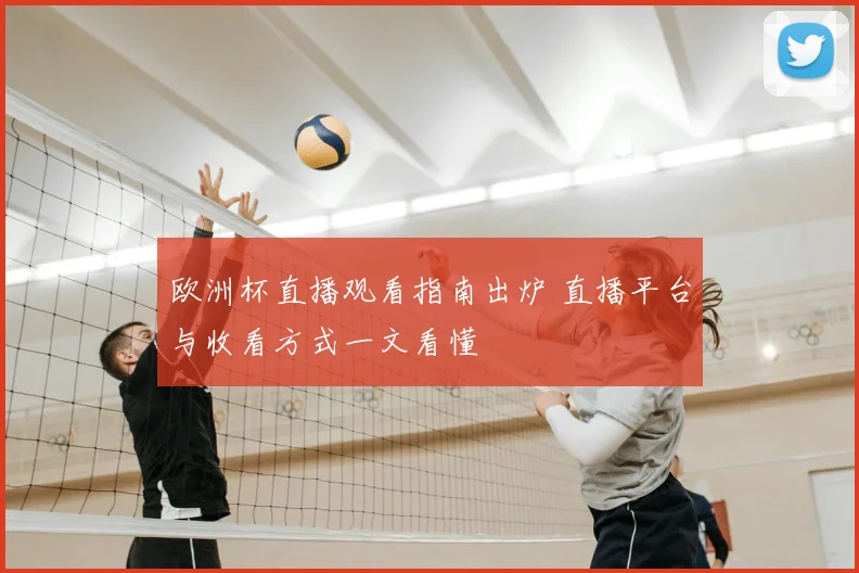 欧洲杯直播观看指南出炉 直播平台与收看方式一文看懂