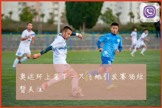 奥运环上落下一只飞蛾引发赛场短暂关注