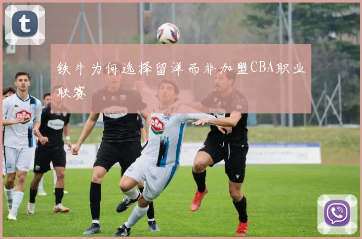 铁牛为何选择留洋而非加盟CBA职业联赛