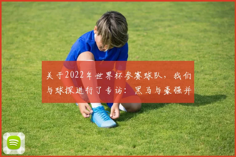 关于2022年世界杯参赛球队，我们与球探进行了专访：黑马与豪强并存