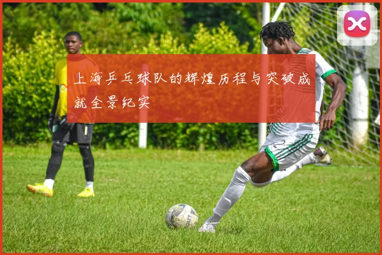上海乒乓球队的辉煌历程与突破成就全景纪实