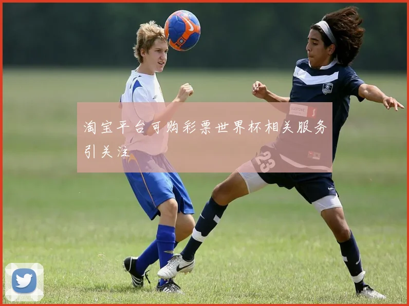 淘宝平台可购彩票世界杯相关服务引关注
